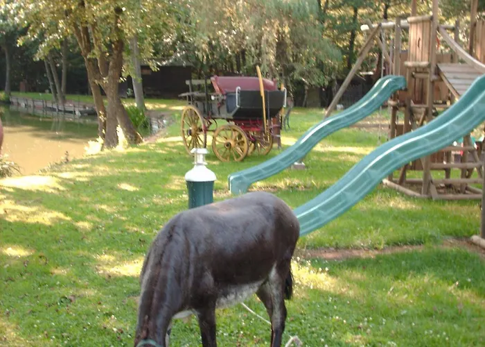 Le De Illian Kemping