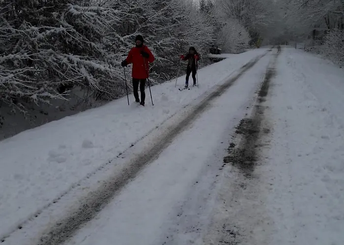 Le De Illian Saint-Michel