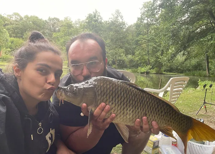 Le De Illian Saint-Michel